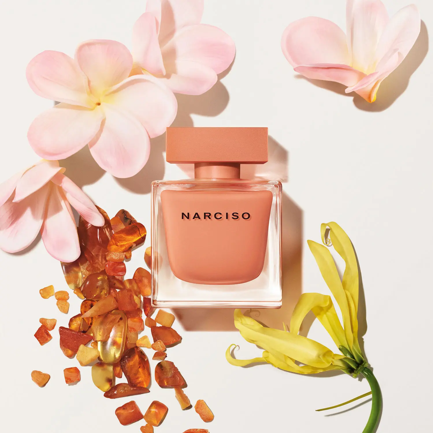 ナルシソ オードパルファム アンブレ 30mL｜香水 ・ フレグランス ・ コロン｜フレグランス ・ コロン｜ナルシソ  ロドリゲス｜資生堂オンラインストア