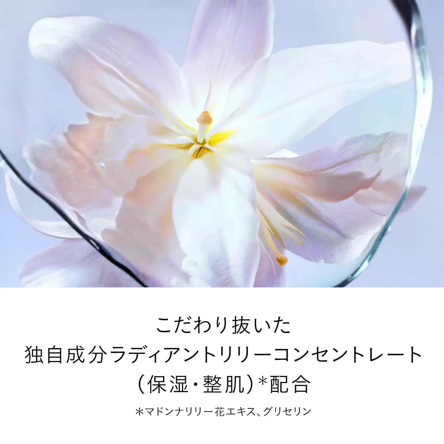 ル・セラムⅡ (レフィル)|美容液|クレ・ド・ポー ボーテ ル・セラムⅡ (レフィル)|美容液|クレ・ド・ポー ボーテ