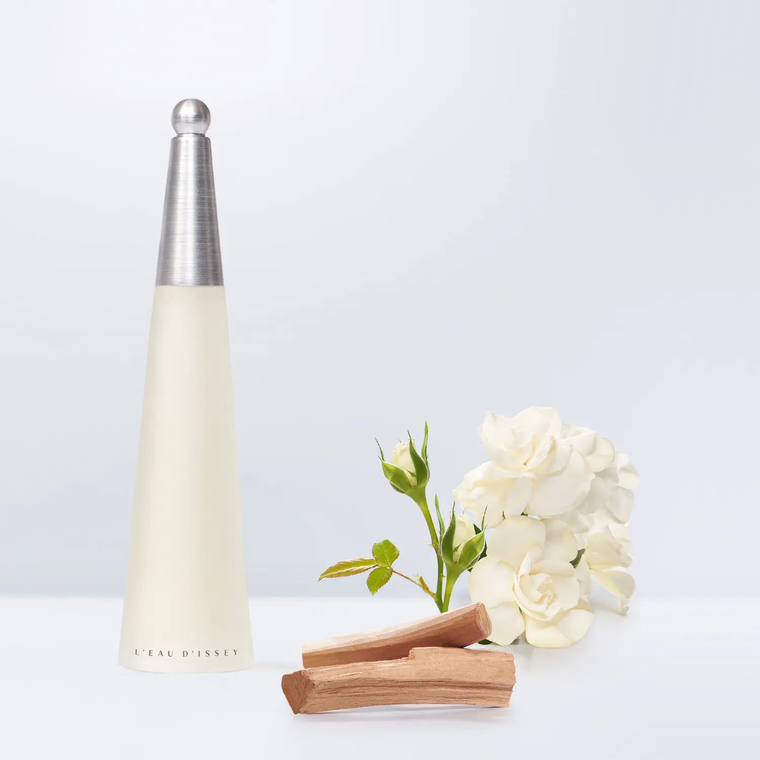 希少 黒入荷！ イッセイ ロードゥ オードトワレ フレグランス ・ 100mL｜香水 香水(女性用)
