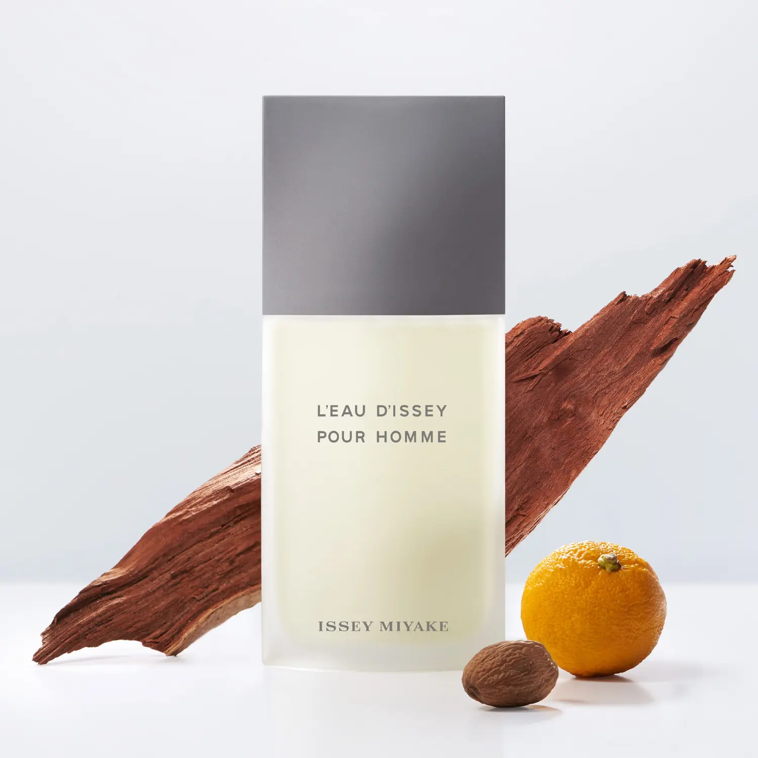イッセイ ミヤケ ロードゥ イッセイ プールオム EDT 75ml 価格