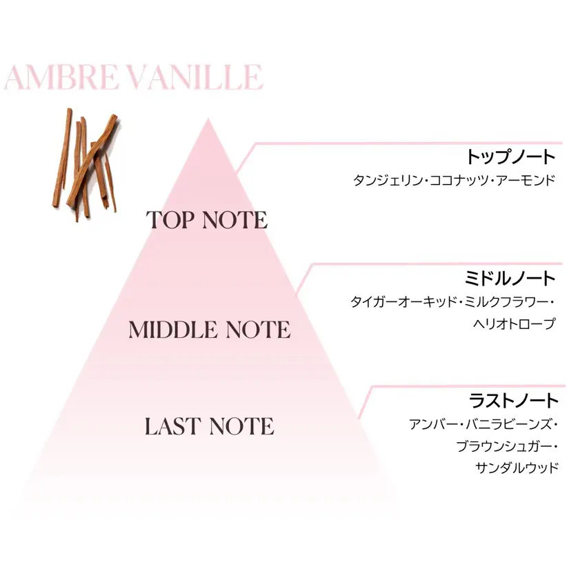 セラム ボディクリーム ミディ｜ボディクリーム