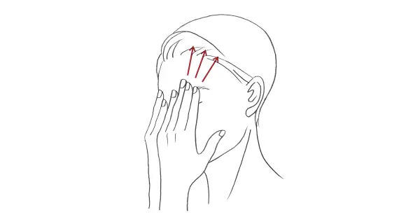 543x402