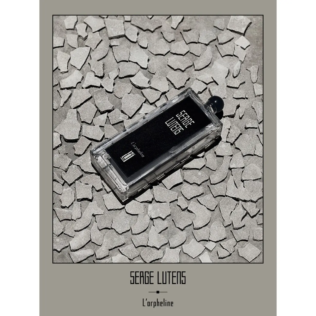 ロルフェリン 50mL｜香水 ・ フレグランス ・ コロン｜セルジュ