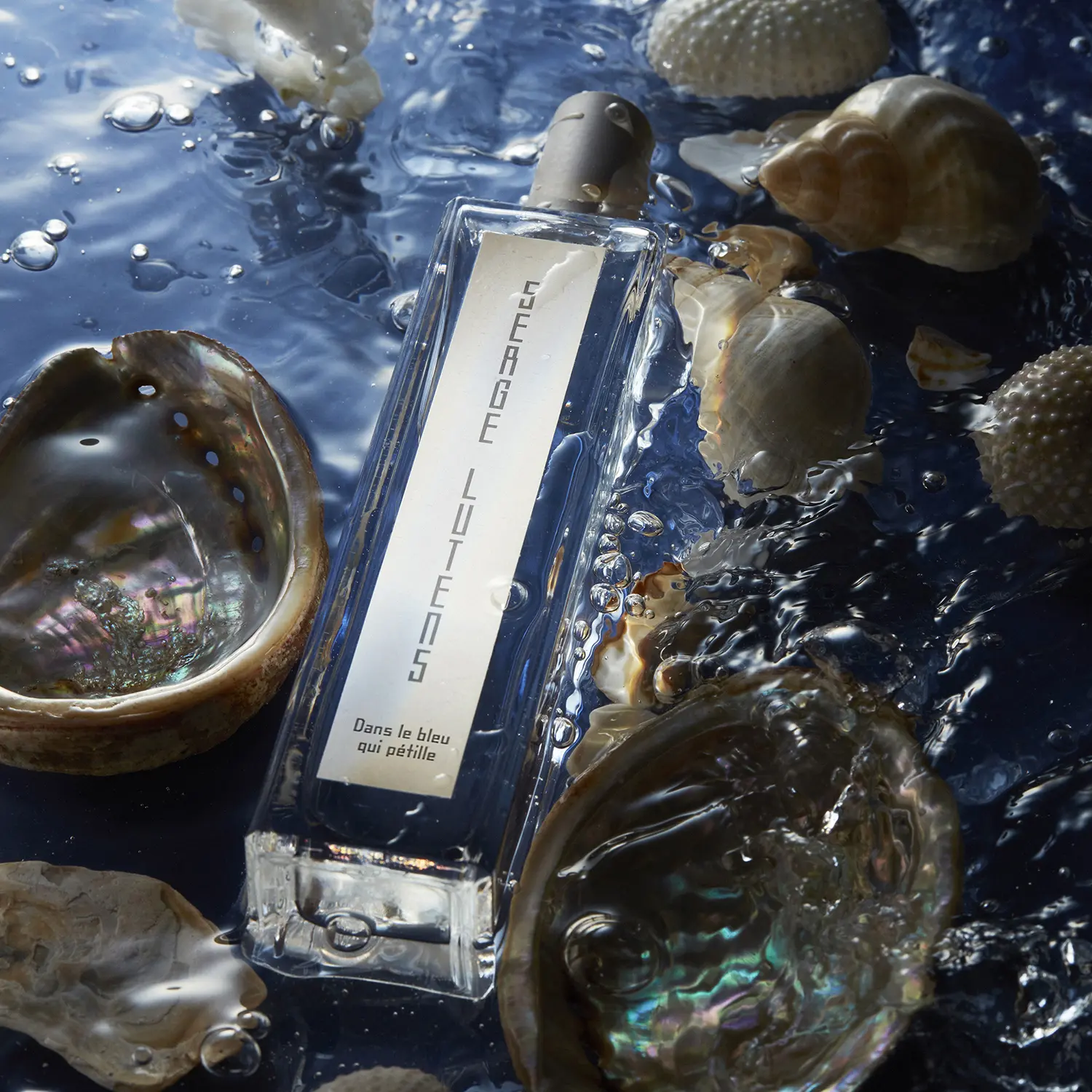 マタンルタンス ダンルブルーキペティーユ 100mL｜香水