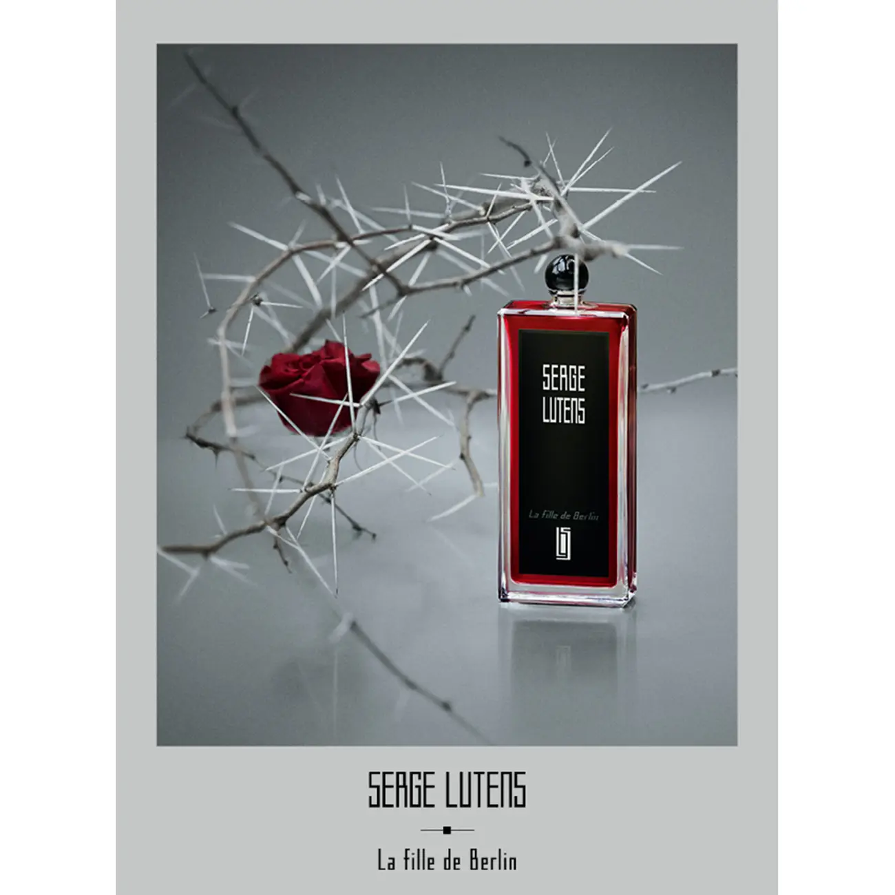 ラフィーユドゥベルラン 100mL｜香水 ・ フレグランス ・ コロン