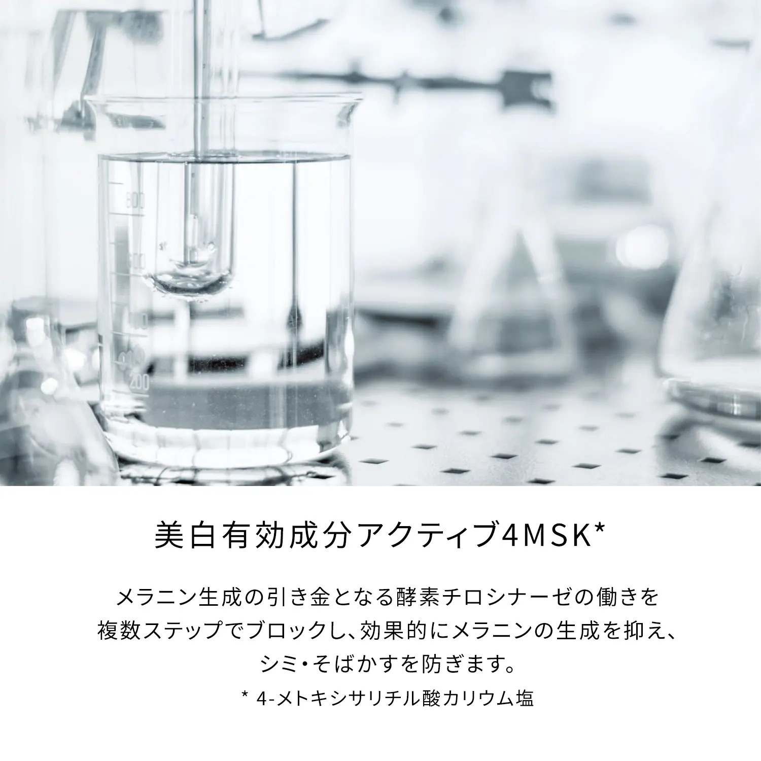 セラムエクラS （レフィル）｜美容液｜クレ・ド・ポー ボーテ｜資生堂