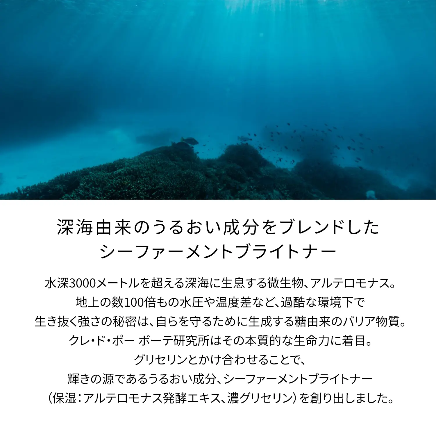 セラムエクラS｜美容液｜クレ・ド・ポー ボーテ｜資生堂オンラインストア