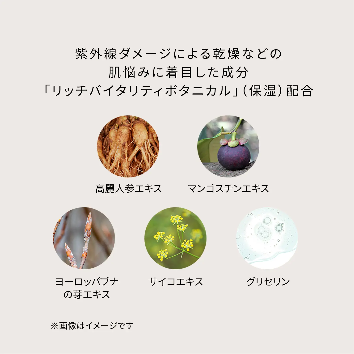 クレームUV n｜日焼け止め ・ UV｜クレ・ド・ポー ボーテ｜資生堂