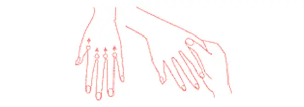 543x402