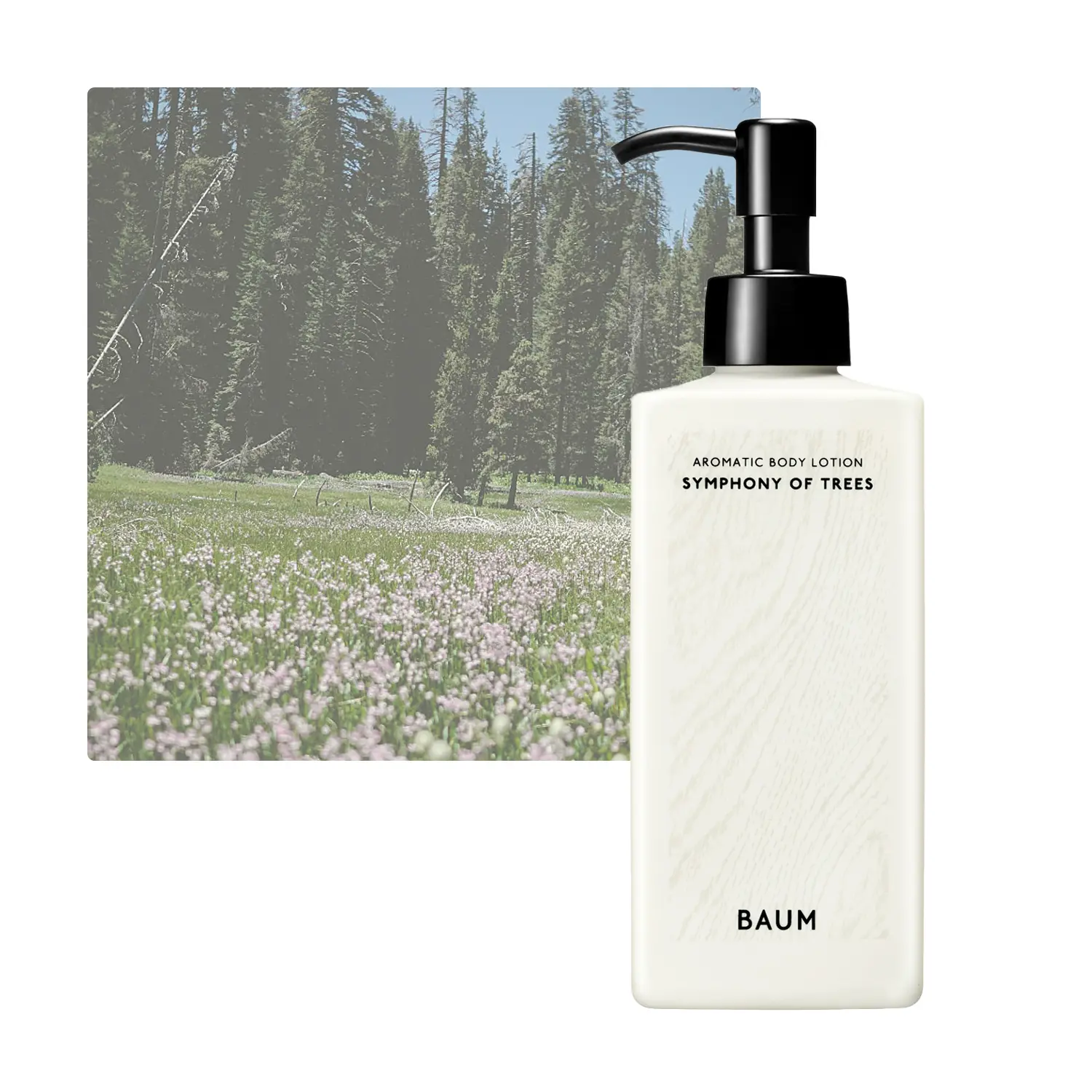 Amazon.co.jp: BAUM(バウム) アロマティック ボディローション 2